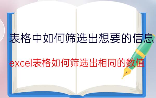 表格中如何筛选出想要的信息 excel表格如何筛选出相同的数值？